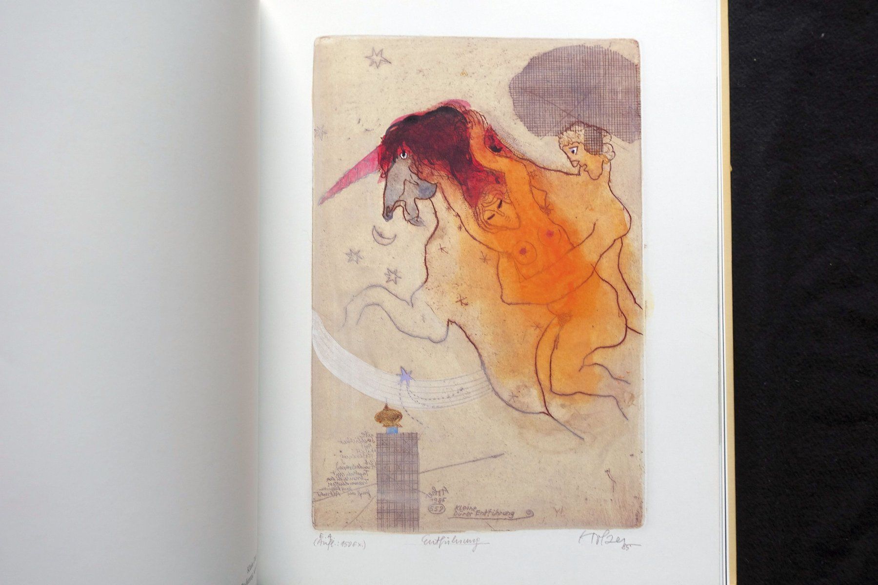 Libri: Adi Holzer, 1986, Galerie Carinthia – Usato da Gutenswil venduto da Optico 4