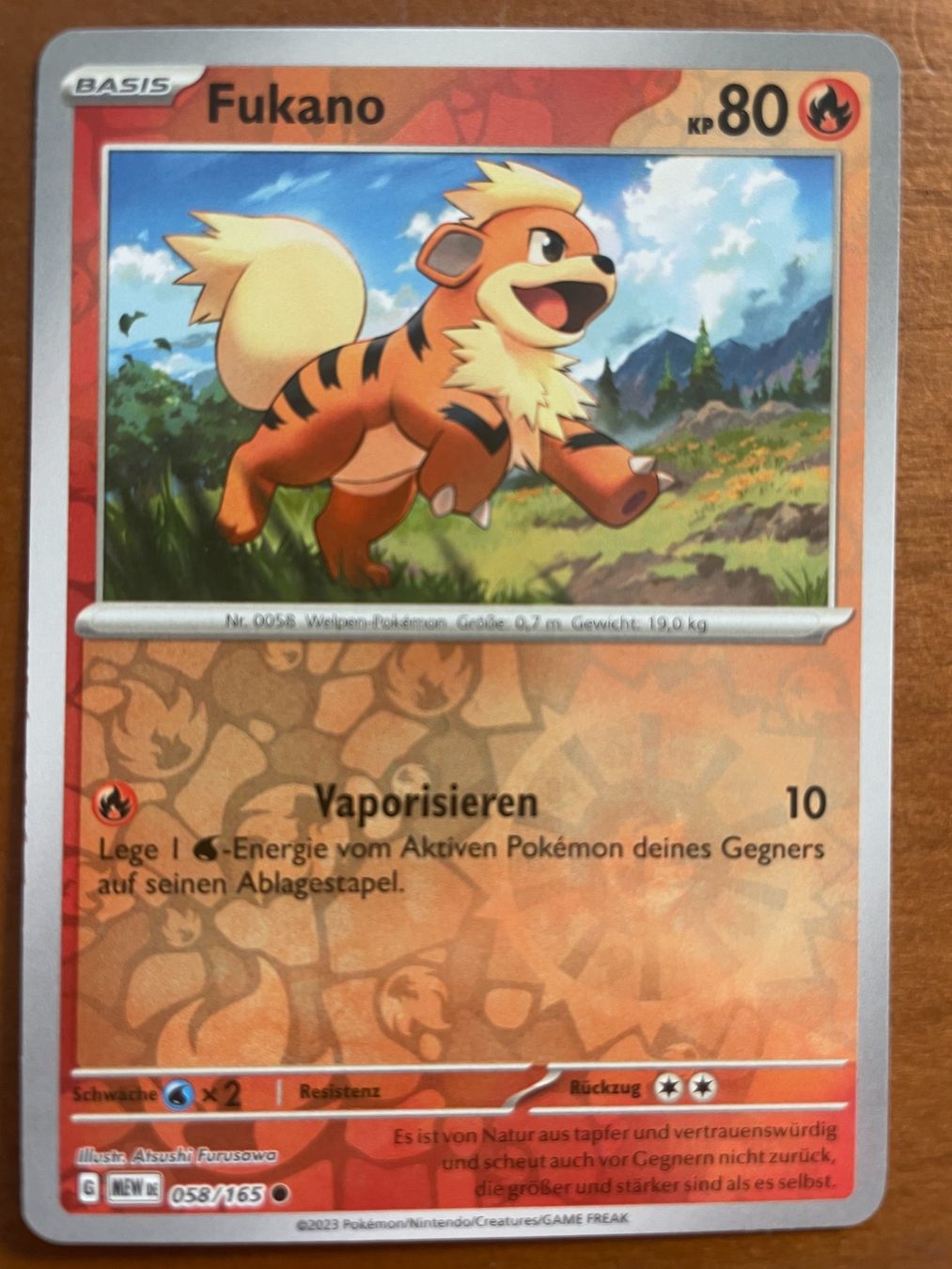 Pokémon Carte collezionabili: Pokemon Fukano Reverse (Versand gratis) – Nuovo (secondo la descrizione) da Chur venduto da Angerson