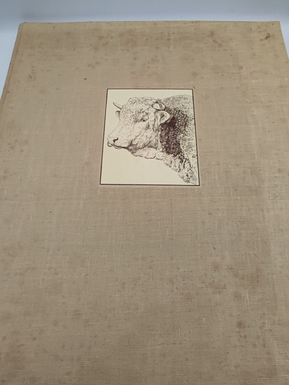 Libri: SCHWEIZERISCHES STAMMZUCHTBUCH – Usato da Goldach venduto da Gaip 1