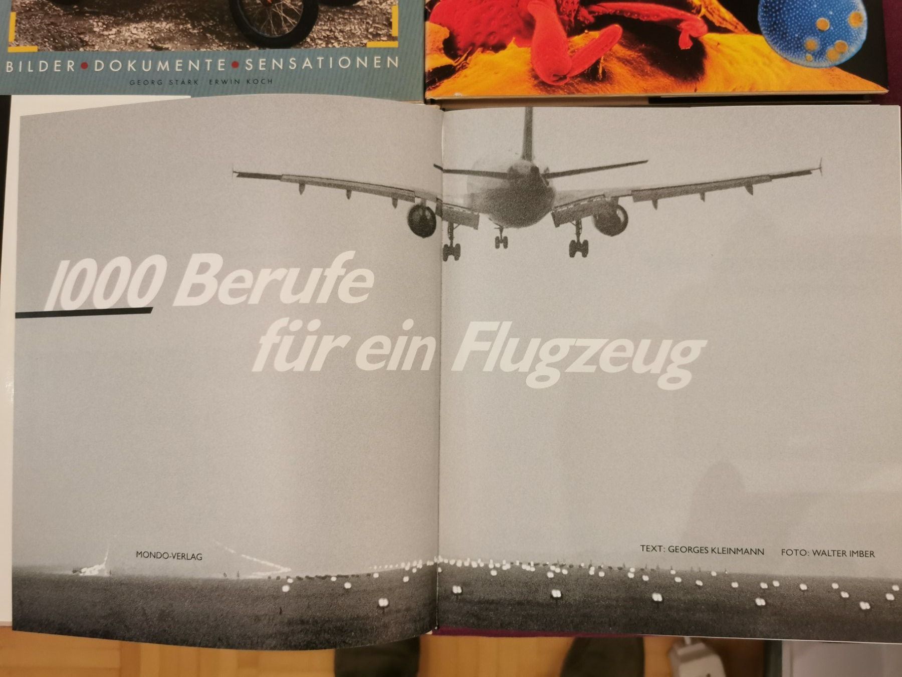 Libri: Mondo Verlag: 12 Bücher einer Serie – Usato da Gockhausen venduto da Porcini56 1