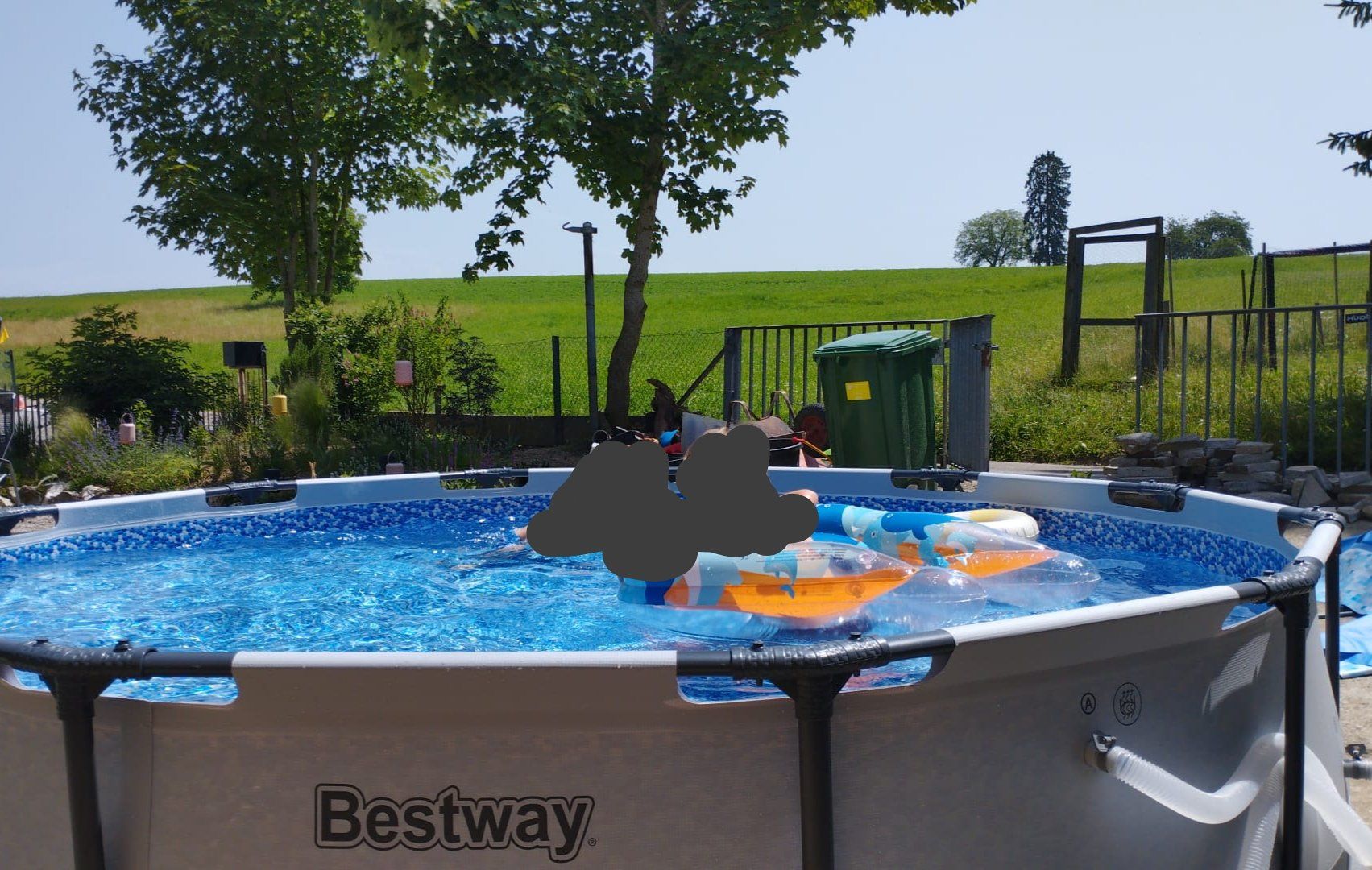 Piscine: Pool Bestway steelmax pro 366×76 – Usato da Büetigen venduto da gauloiser 1