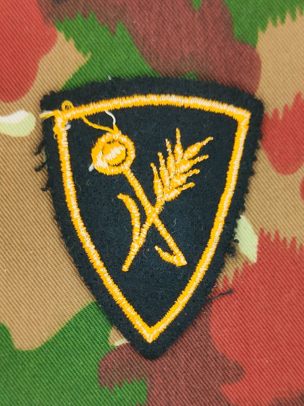 Schweizer Armee Plaketten & Abzeichen: Funktionsabzeichen Küchenchef / Truppenkoch Ord. 1995, V4 – Gebraucht aus Bauma von SwissMilitaria 1