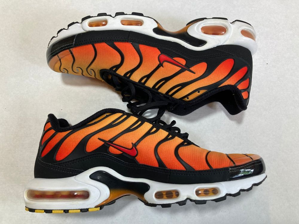 Air max 2024 plus tiger 2018