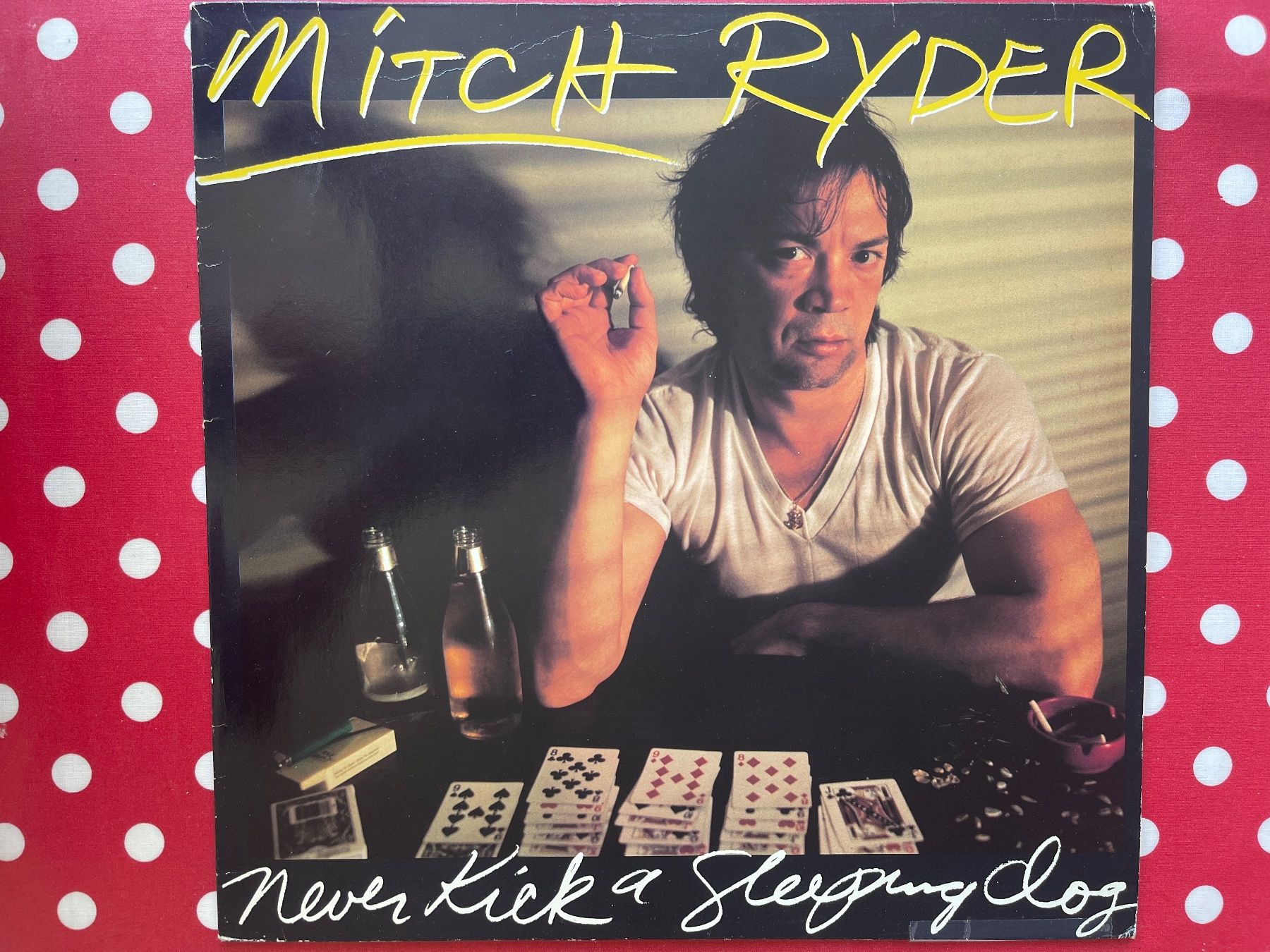 Dischi in vinile: A512/Mitch Ryder - Never Kick a Sleeping Dog – Usato da Frutigen venduto da Philippe_jsp