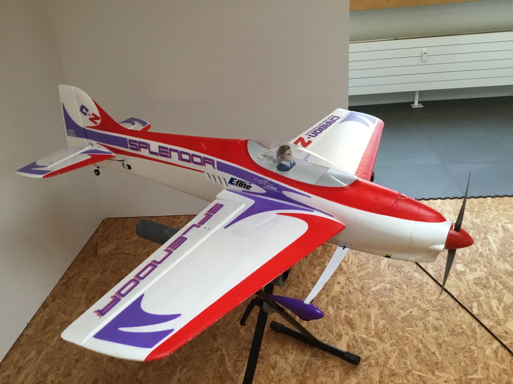 Modellismo RC: E-Flite Carbon-Z Splendor – Usato da Häfelfingen venduto da doktor63 1