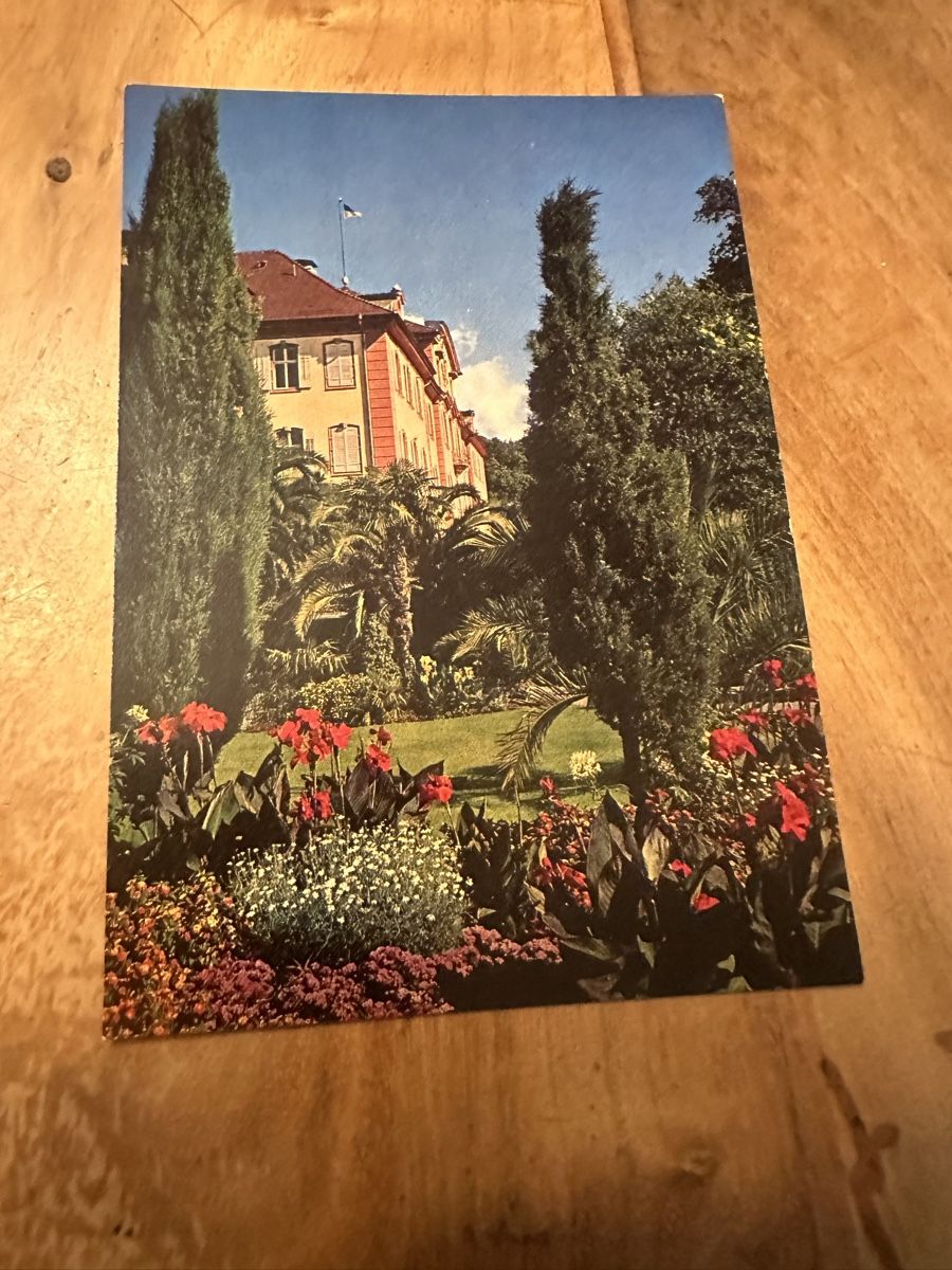 Cartoline postali: Ältere Ansichtskarte von der Insel Mainau – Usato da Frauenfeld venduto da aluma14 2