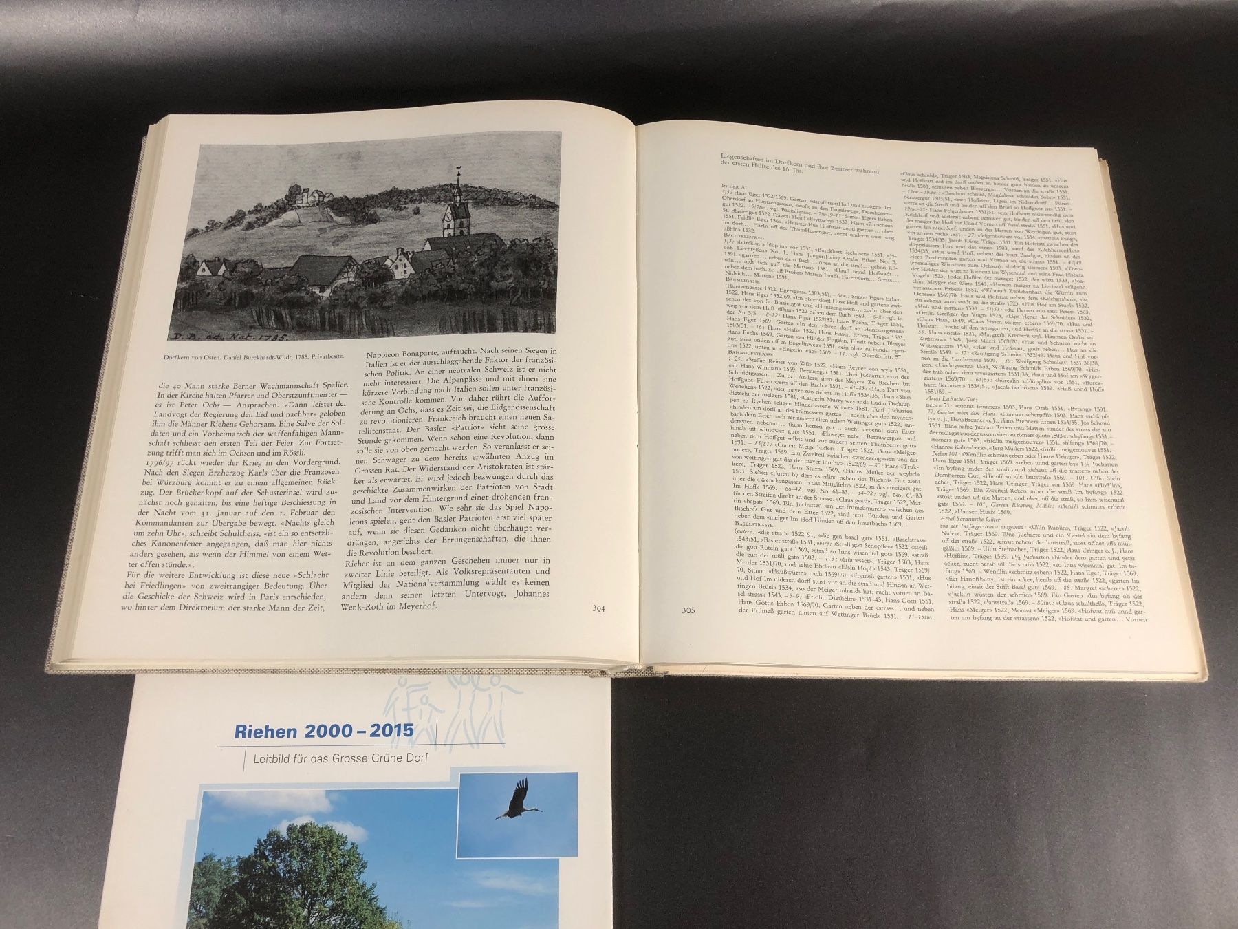 Bücher: ⭐ Bücher Riehen BS, 2 + 1 Stk – Gebraucht aus Arisdorf von Liquidus 2