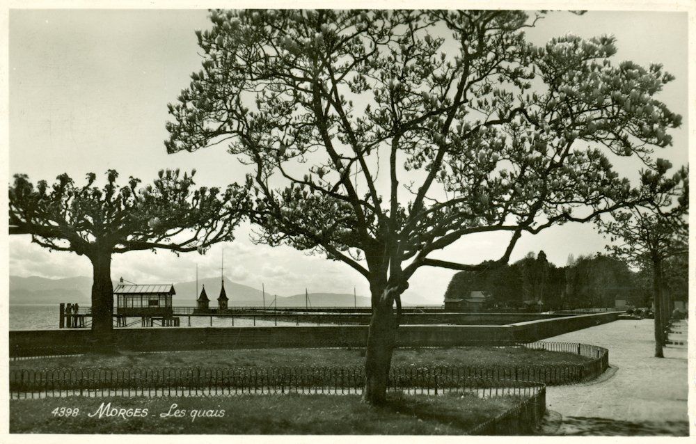 Ansichtskarten: Morges - Les quais – Gebraucht aus Chavornay von SupraSenna