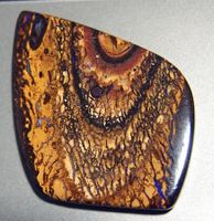 67 ct. Australian Koroit Opal mit TOP Zeichnungen AAA