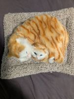 Plüschkatzen Mutter und Kind auf Kissen guter Zustand