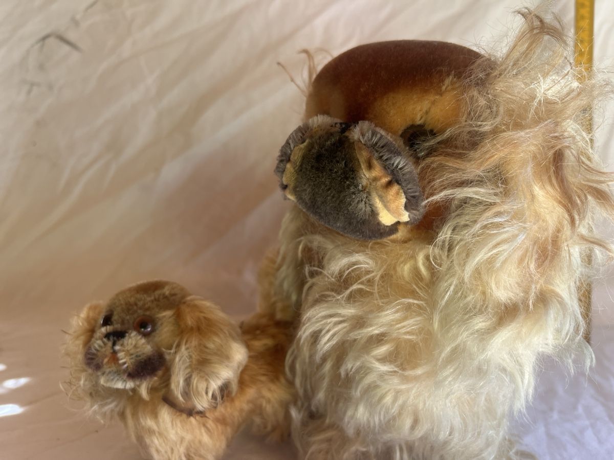 Steiff Giocattoli: 2 Alte Hunde Steiff – Usato da Brienz BE venduto da hey_z9vg 1