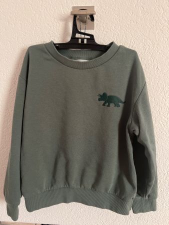 Pullover grün mit Dinosaurier Motiv Gr. 110/116gutem Zustand