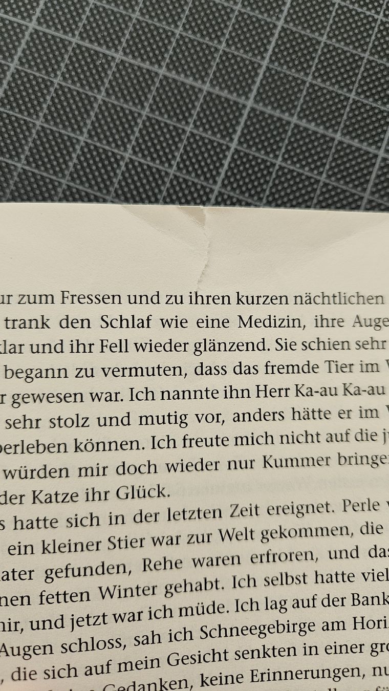Libri: Die Wand - Marlen Haushofer - Klettverlag mit Materialien  – Usato da Dintikon venduto da Zaza_Lolo 2