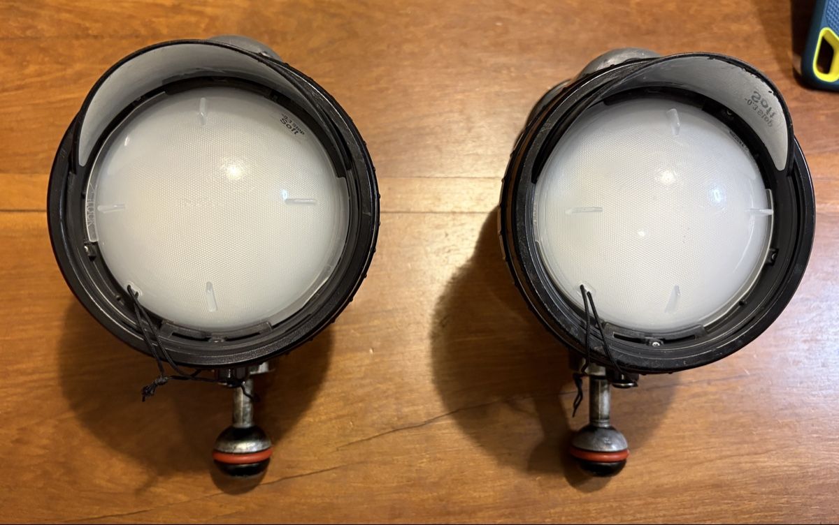 Lampade & Macchine fotografiche: Inon z-330 x2 flash subacqueo – Usato da Pregassona venduto da ChiaraF. 2