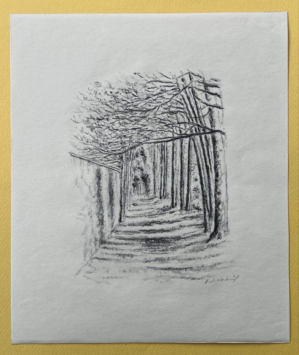 Grafica & Litografie: Adolf Dietrich Original Lithografie Baumallee – Usato da Adliswil venduto da buch_und_kunst 1