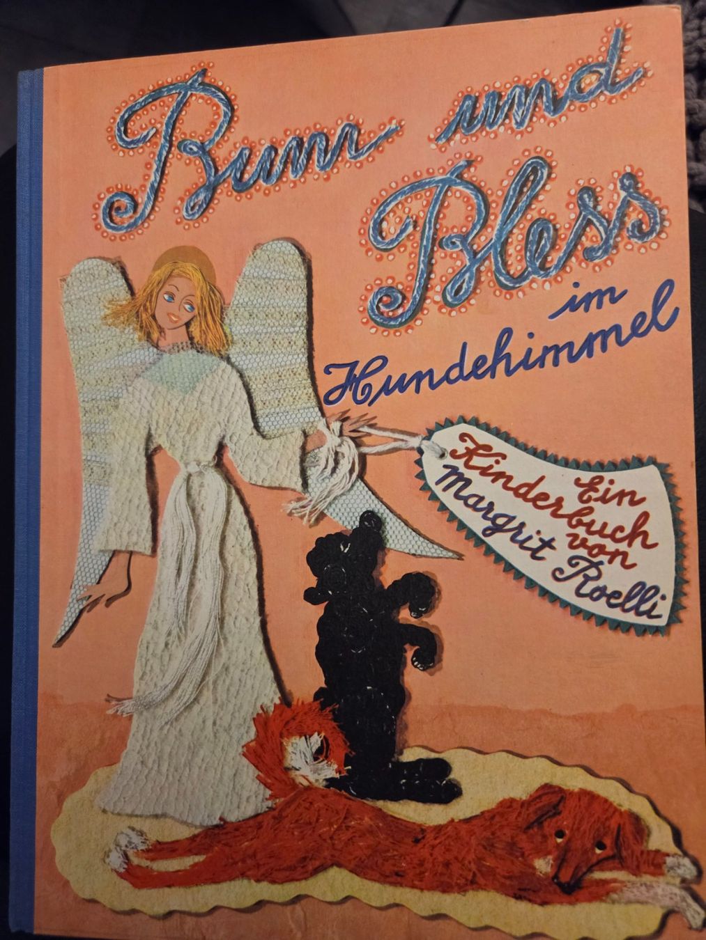 Libri: Bum und Bless im Hundehimmel – Usato da Münsingen venduto da Sokilein