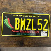 🇺🇸 U.S. Autoschild - New Mexico BMZL52 - ORIGINAL