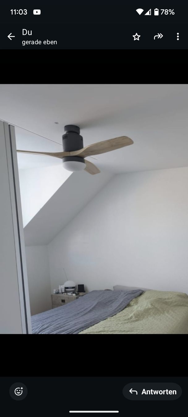 Ventilateurs: Deckenventilator  – D'occasion à Grenchen par Aifisch 3