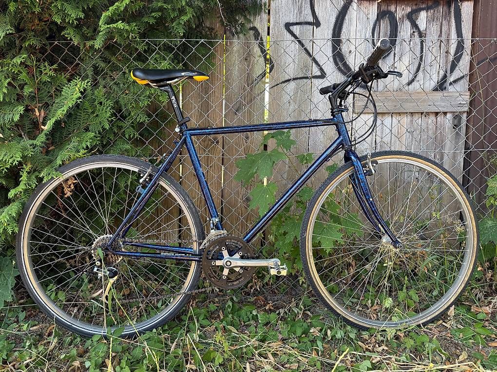 Biciclette: Coronado Allroad – Usato da Bern venduto da Reblo