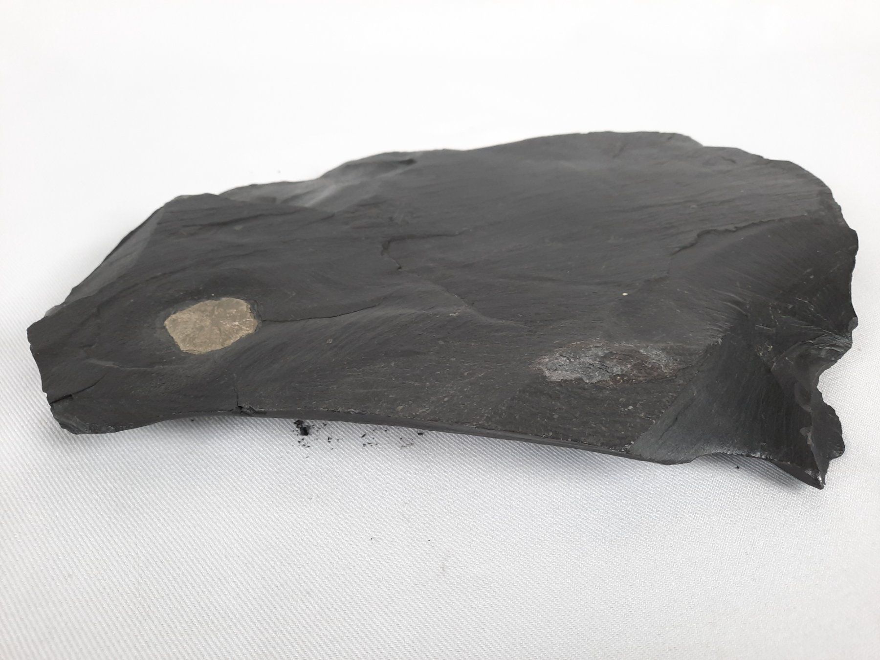 Mineralien & Heilsteine: 4 Pyrit Sonne auf Kohle-Schiefer – Gebraucht aus Beinwil am See von Restwert_Beinwil 5