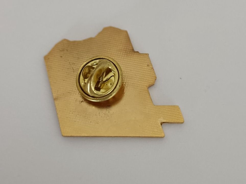 Plaketten & Abzeichen: Pin 100 Jahre Schynige Platte Bahn - Box 27 – Gebraucht aus Köniz von Pinscollect 1