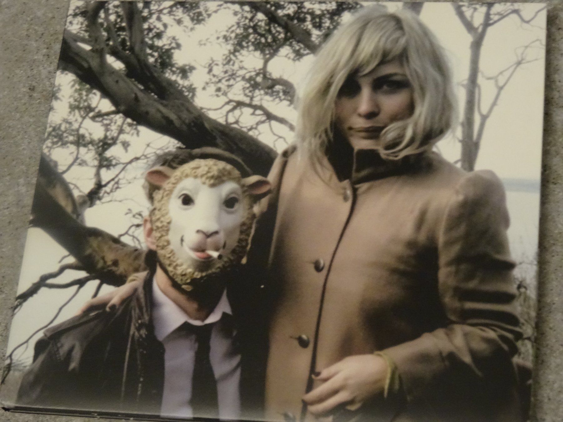 CD: The Head and the Heart CD – Usato da Olten venduto da Disc-Ausverkauf