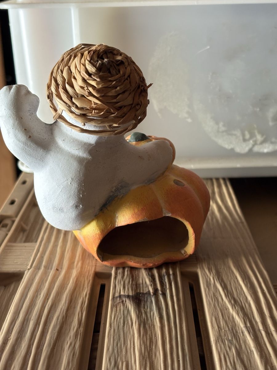 Tutte le decorazioni: Halloween Kürbis Teelichthalter – Usato da Ettiswil venduto da joe_69vb 1