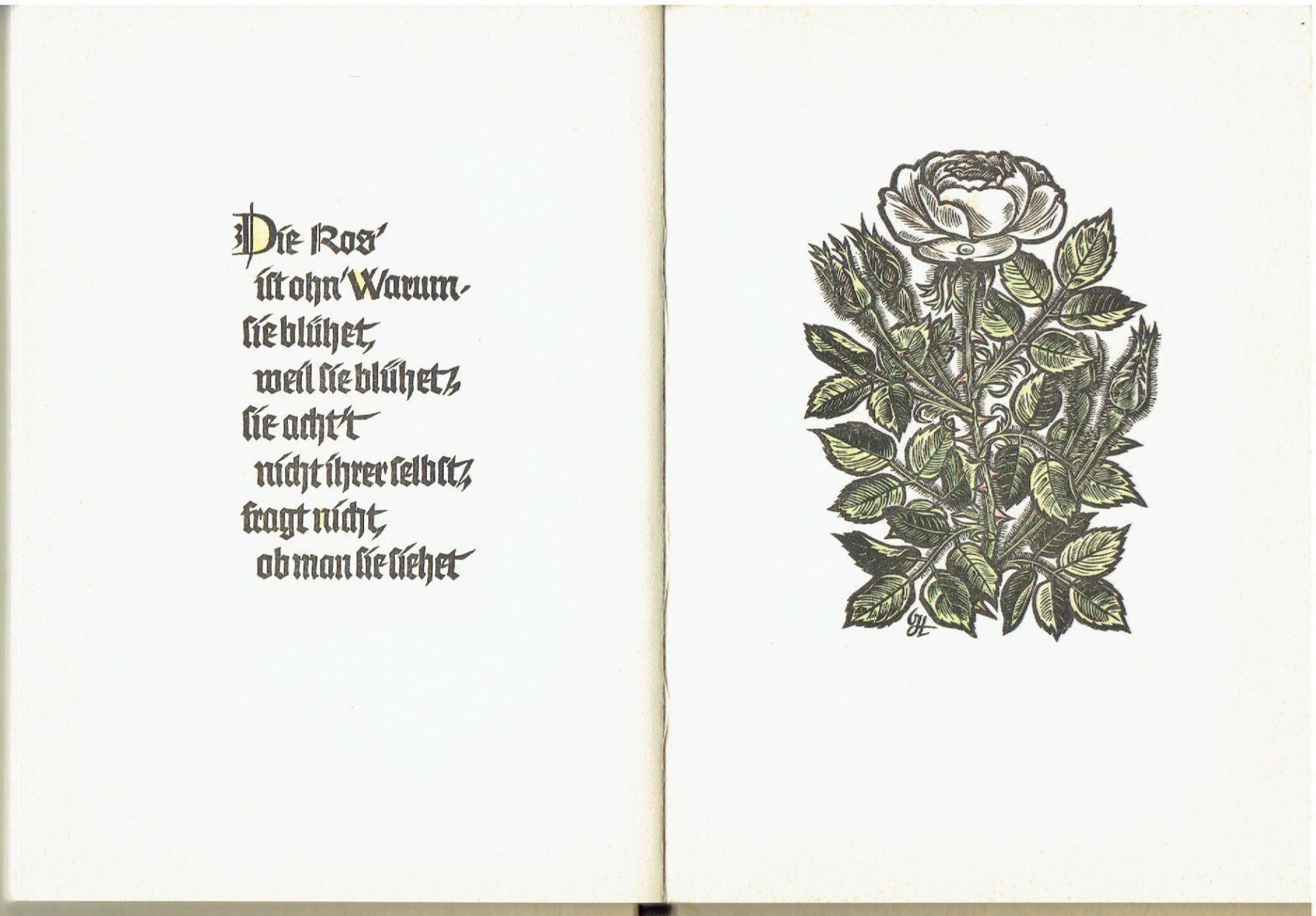 Bücher: ANGELUS SILESIUS – Gebraucht aus Flims - Dorf von Stagediver 4