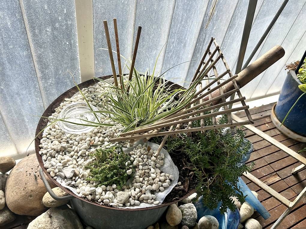 Pots de fleurs: Bepflanzter Wok  – Neuf avec emballage d'origine à Frauenfeld par Irene.Schuppli