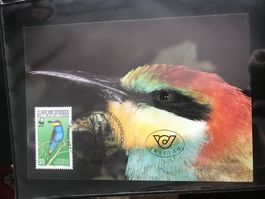 WWF Österreich 1988 Bienenfresser Maximumkarte