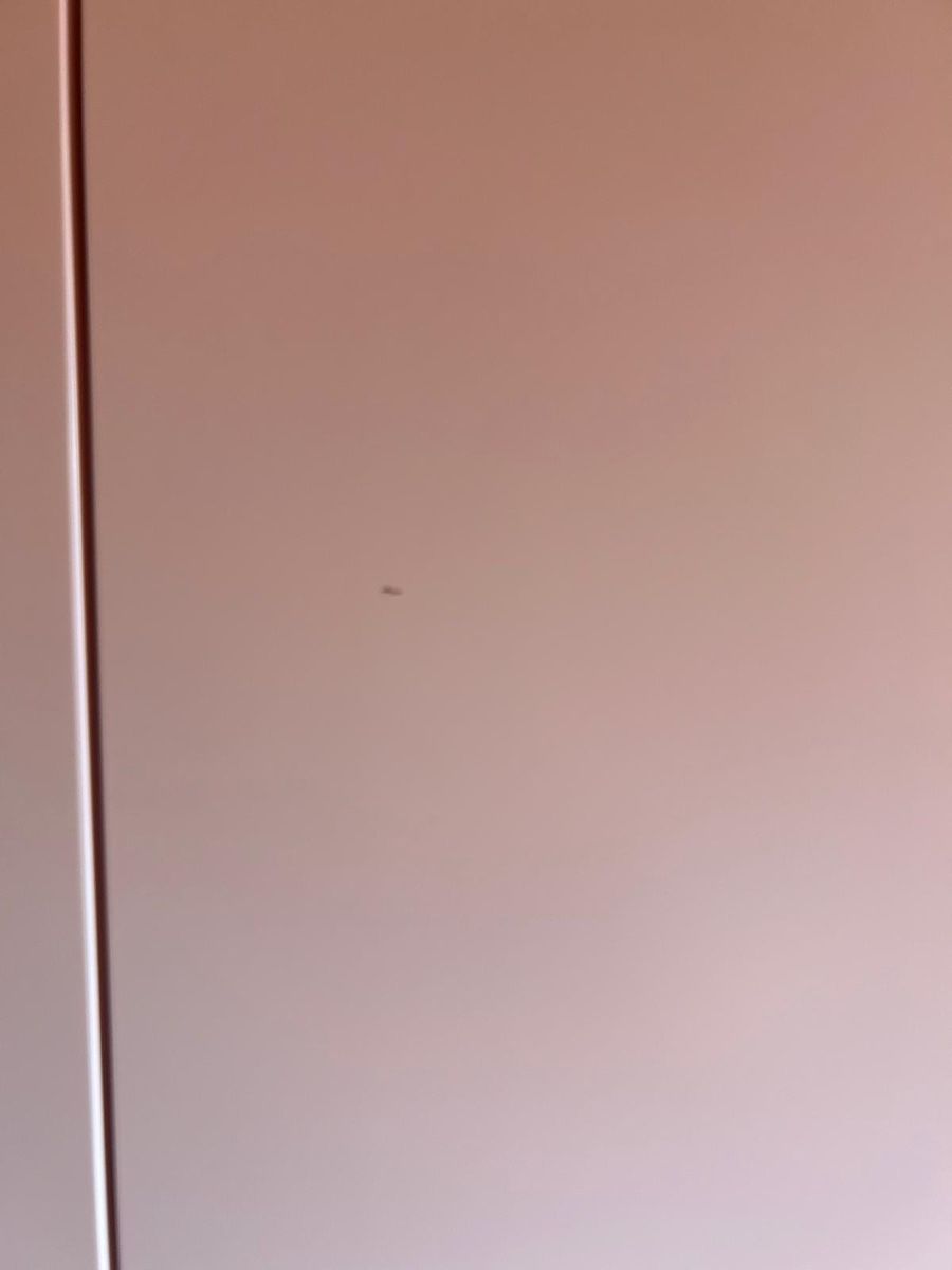 Armoires: Kinderschrank IKEA Smastad – D'occasion à Niederbuchsiten par Landin 2
