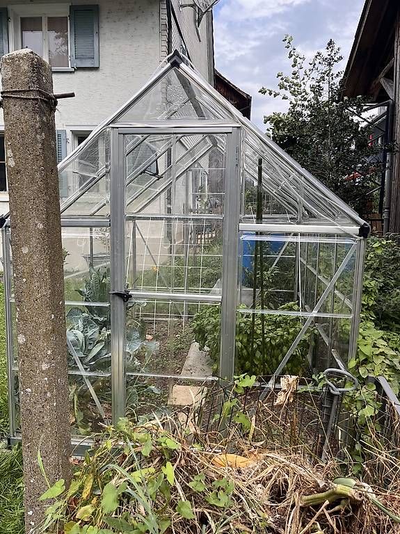 Cabanes de jardin & serres: Gewächshaus von Canopia  – D'occasion à Güttingen par sab_vg9p 3