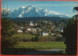 FLIMS-WALDHAUS mit Signina