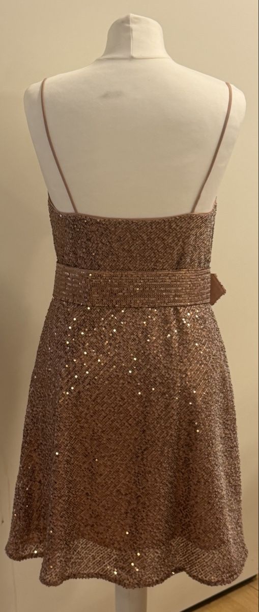 Vestiti: Paillettenkleid Roségold neu – Nuovo e nell'imballaggio originale da Lengwil venduto da JuliBB 1