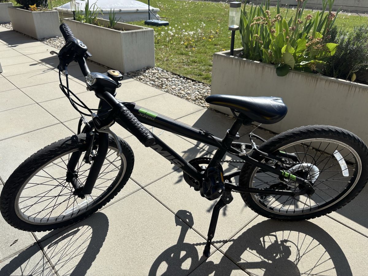 Biciclette: Jamis bike 20 inches perfect condition – Usato da Neuchatel venduto da UMY