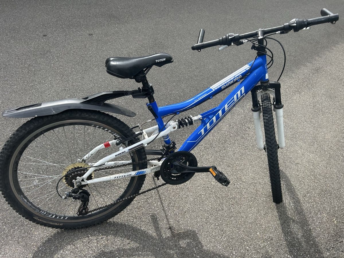 Totem Biciclette: Fahrrad 24 Zoll – Usato da Hagendorn venduto da diz_p6dg 2
