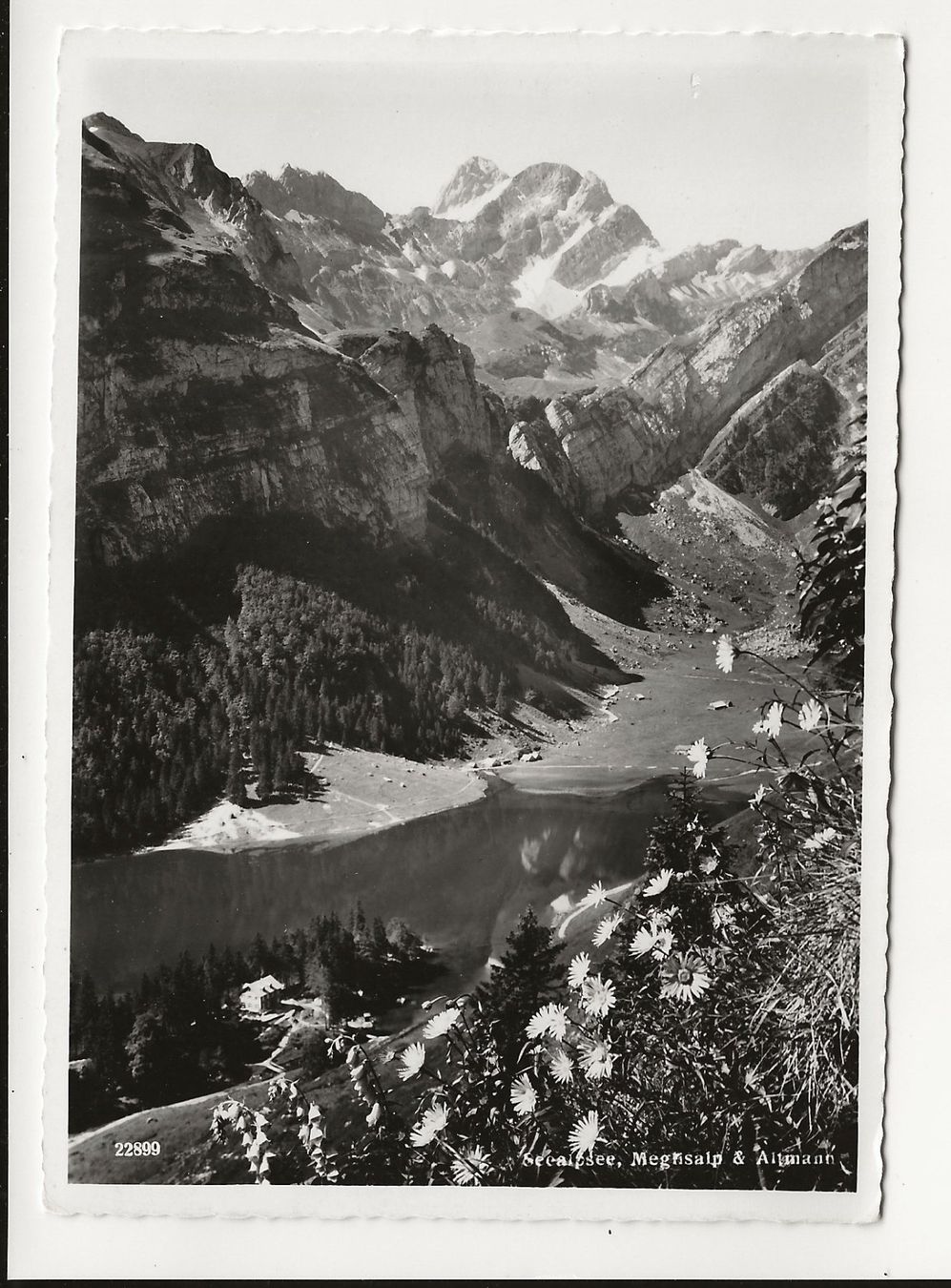 Ansichtskarten: AK ca. 1950 Seealpsee, Appenzell – Gebraucht aus Greifensee von 315WDO