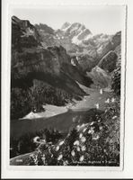 AK ca. 1950 Seealpsee, Appenzell