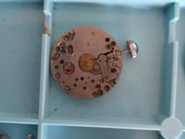 Mouvement Muros Watch Factory