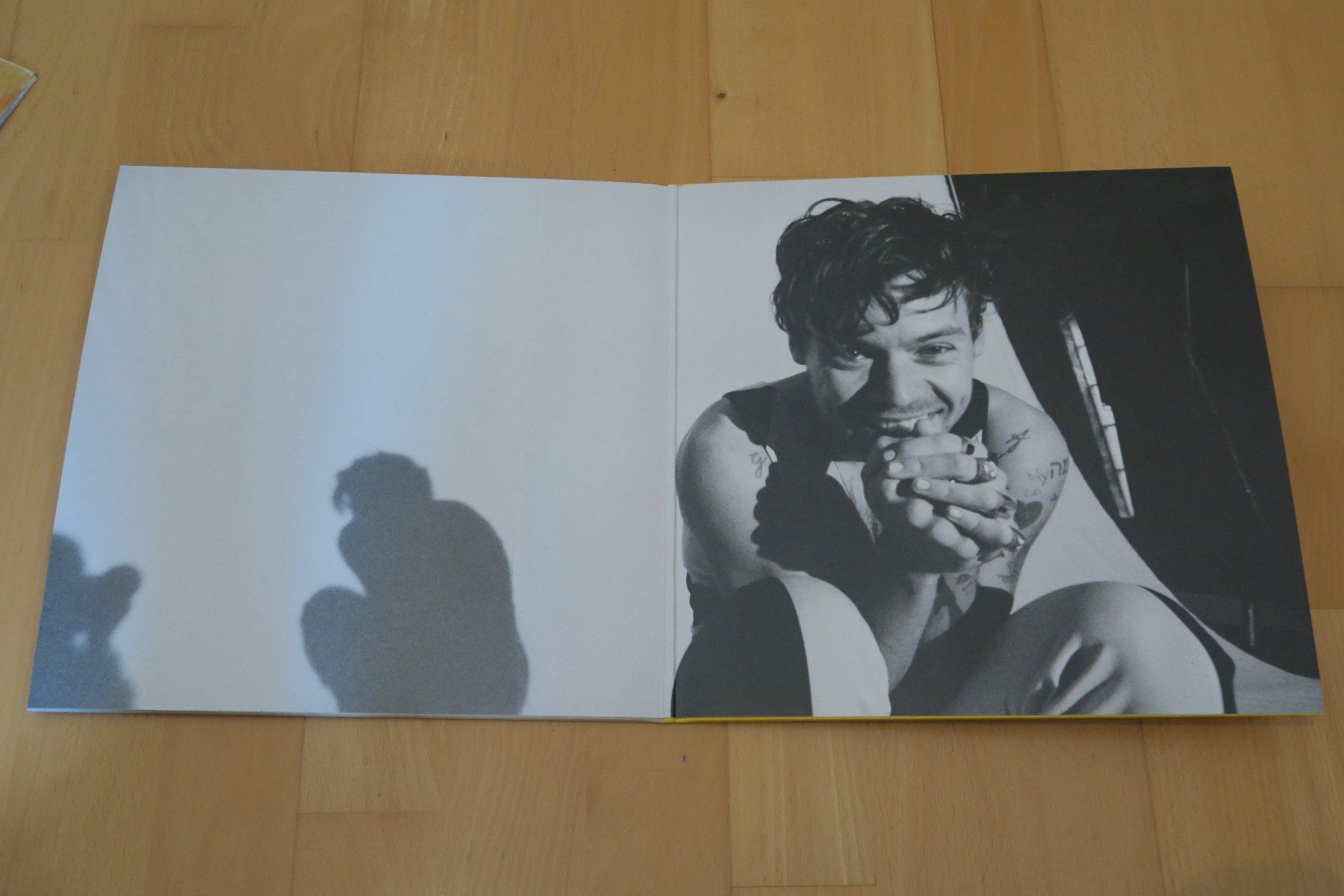 Dischi in vinile: Harry Styles – Harry's House – Usato da Thun venduto da Karibu70 1