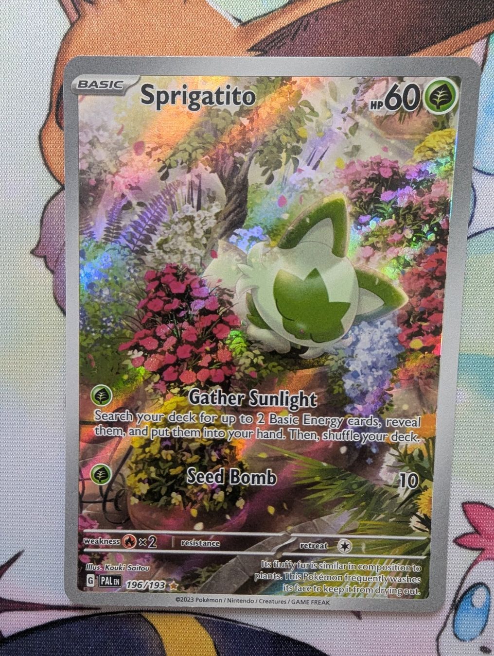Pokémon Carte collezionabili: Sprigatito 196/193 - Paldea Evolved (EN) – Nuovo (secondo la descrizione) da Schwyz venduto da Gojira666