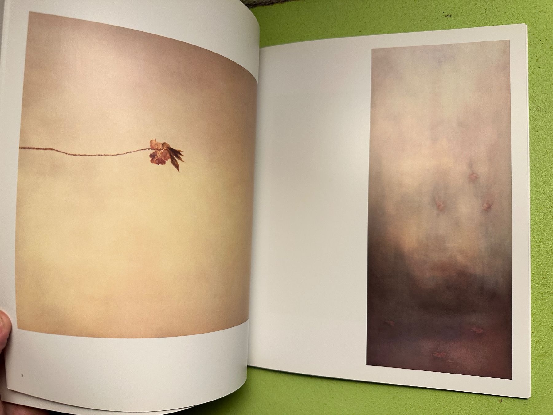 Libri: Angela Lyn: blossom blossom. – Usato da Zürich venduto da allp 3