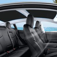 Sonnenschutz "CRYSTAL" Tesla Model 3 bis 2020