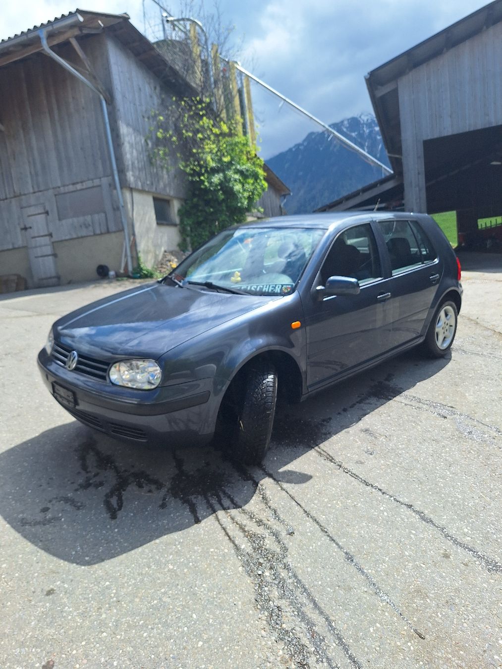 VW Automobili: VW Golf 4 1.6 – Usato da Blumenstein venduto da muttihof
