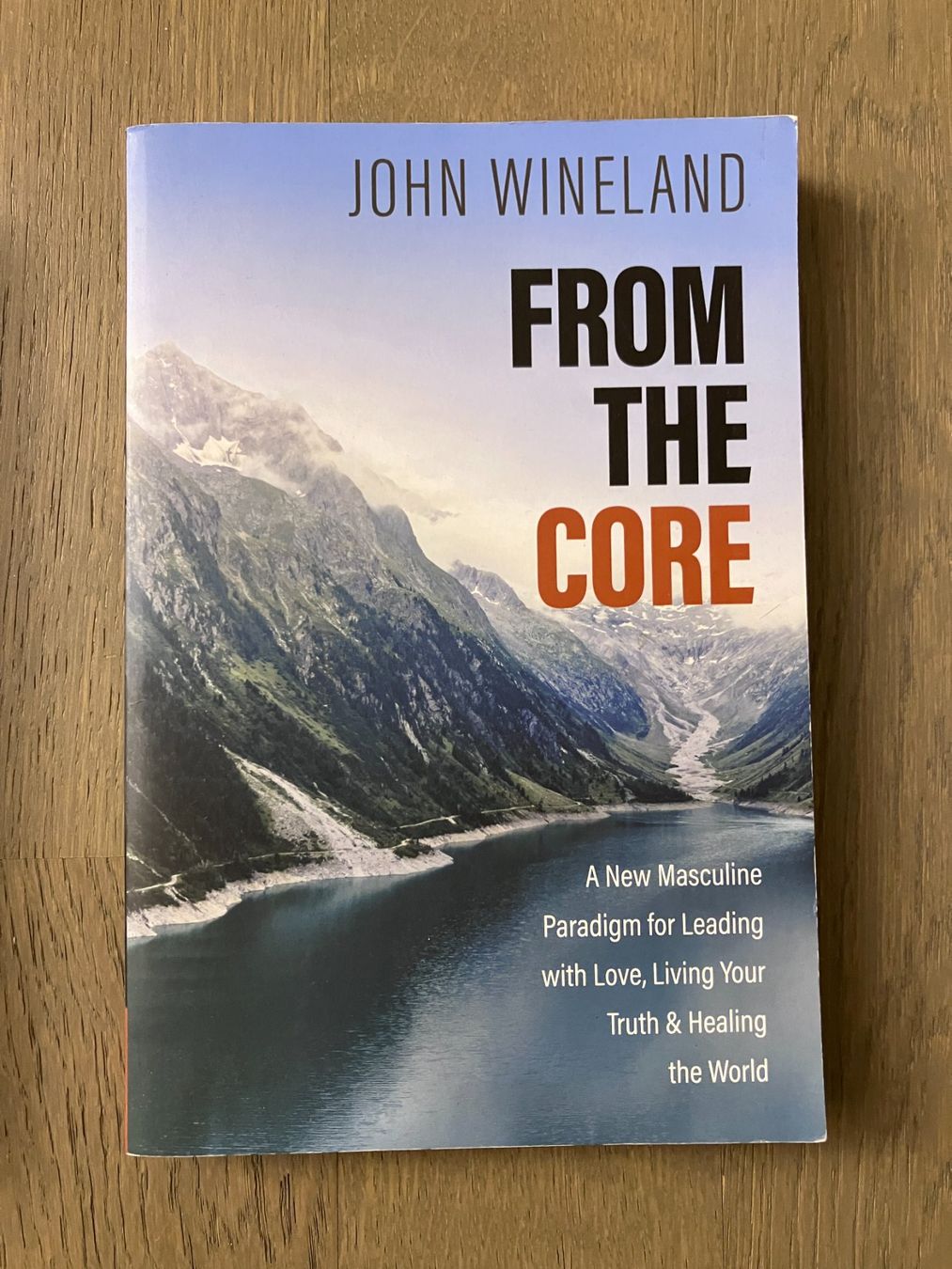 Libri: Mens Work Bücher, John Wineland – Usato da Adliswil venduto da lauryyrual 5