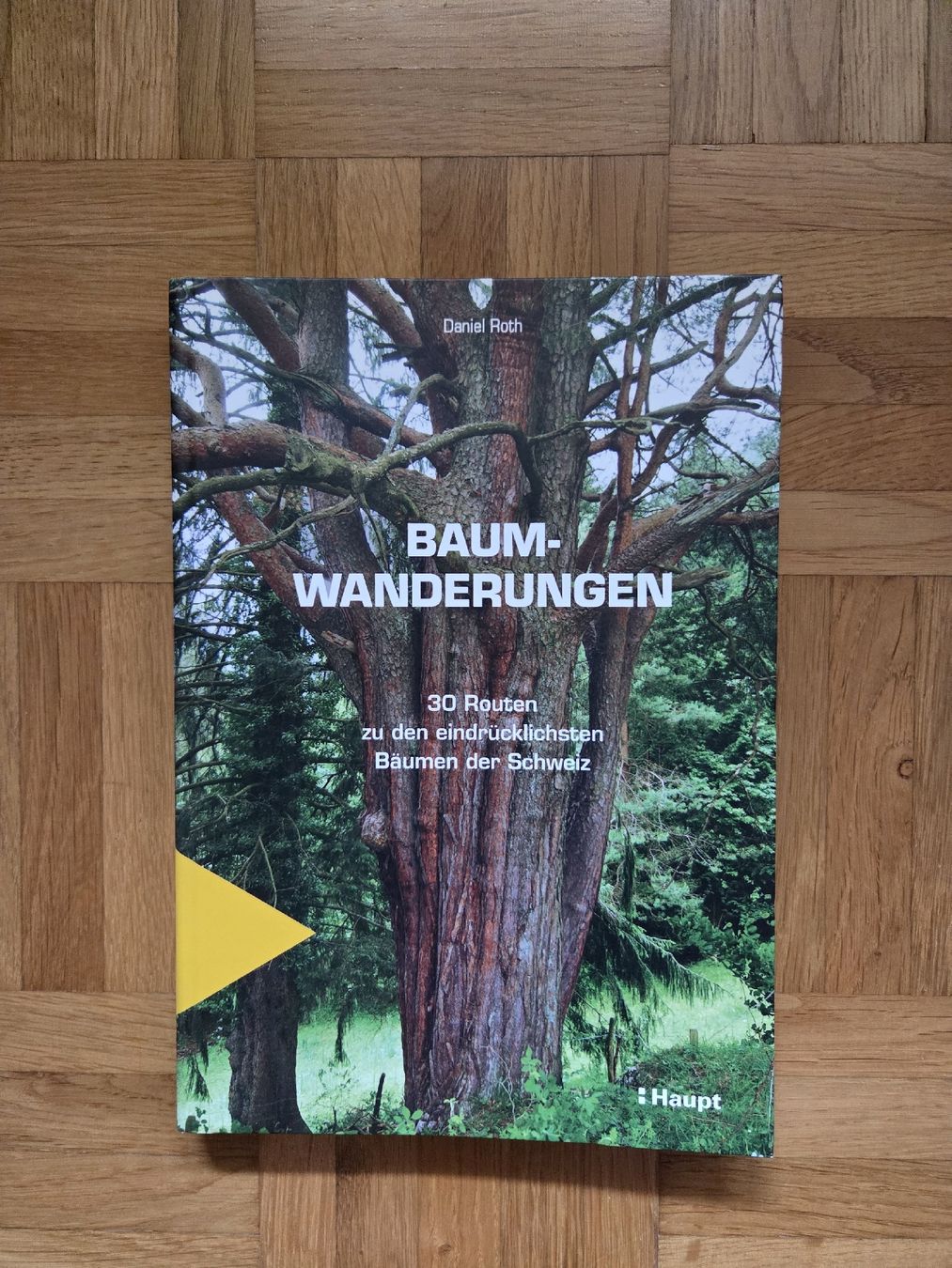 Livres: Baumwanderungen Daniel Roth – Neuf (Voir description) à Basel par Mountainfreak