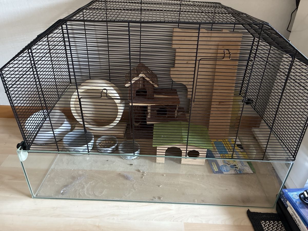 Gabbie, trasporto & Sicurezza: Hamster  – Usato da Belp venduto da put_vr79
