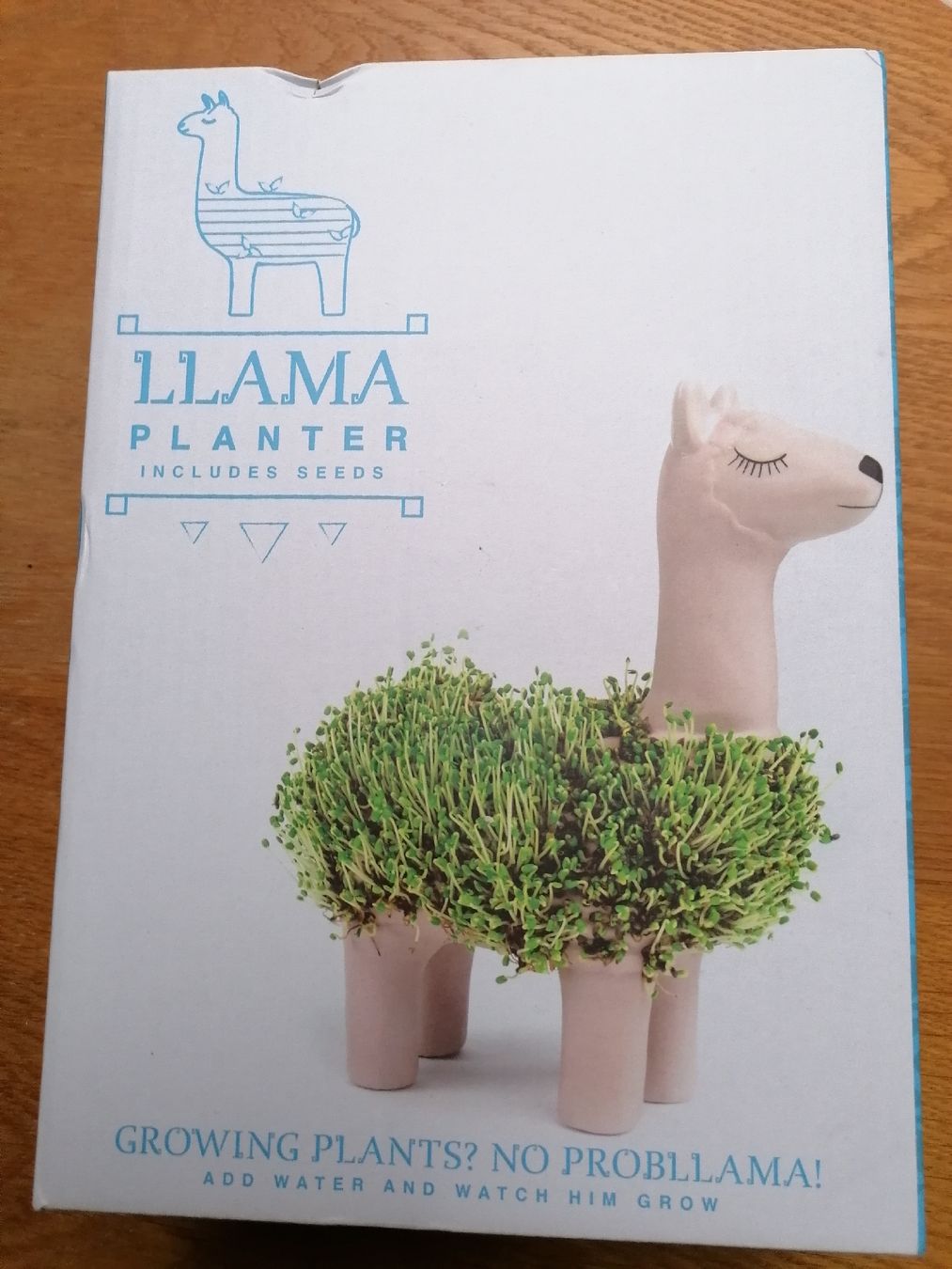 Tutte le decorazioni: Lama planter – Nuovo e nell'imballaggio originale da Bretigny-Morrens venduto da solveiga