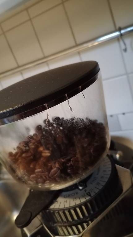Macchine per caffè & Macchine per espresso: Profitec Mühle Pro M54 – Usato da Bern venduto da masgarro 2