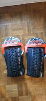 Neue Minion Maxxis